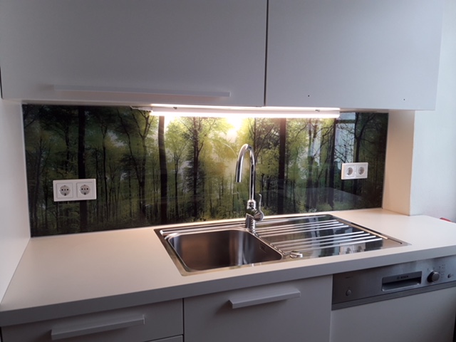 Küchenrückwand aus Glas bedruckt mit Waldmotiv in Traiskirchen in Baden